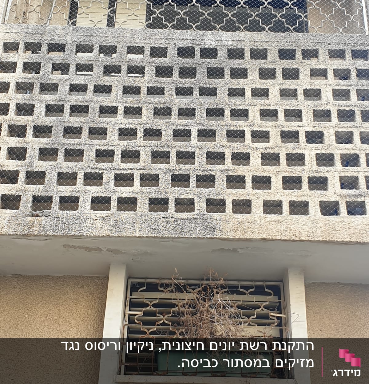 רשת מתכת על חלון למניעת כניסת יונים